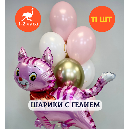 ���������� ������ ��������� �� ���� ��������, ��������� ���� � ������, ���� � ���� ��������, ����� ����� ��� ������� 