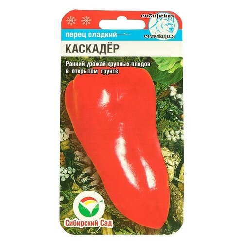 ���������� ������ ����� 