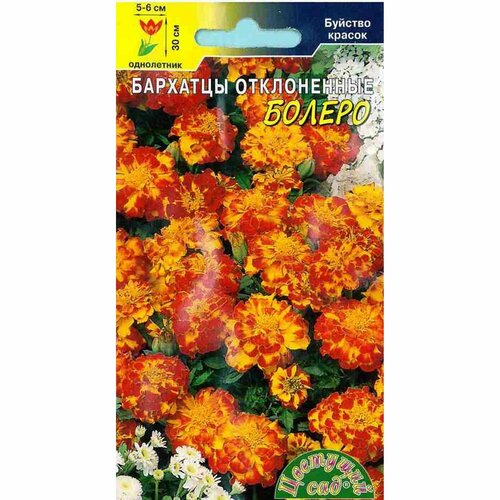 ���������� ������ �������� ������ ����������, (�������� ���) 0,3�