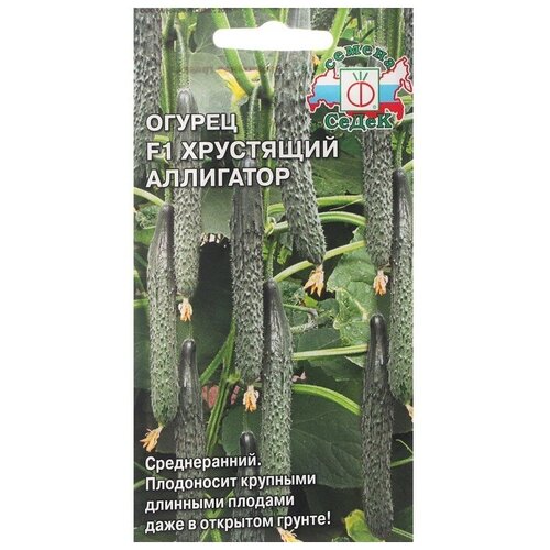 ���������� ����� ������ ������ 