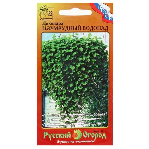 ���������� ������ ������� ������ �������� ���������� �������