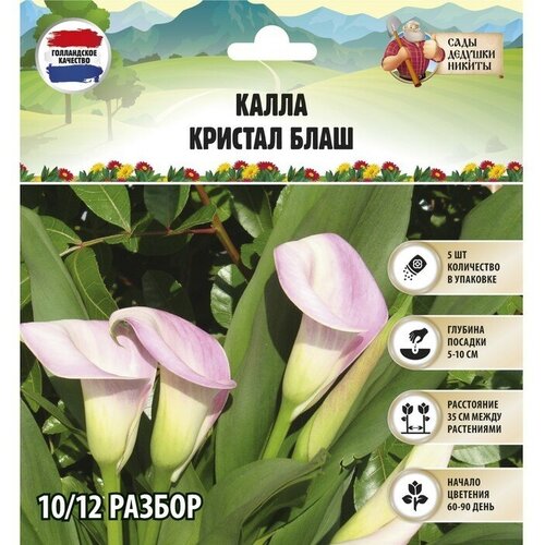 ���������� �����