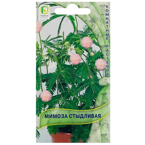 ���������� ������ ��������� (0,3 �), 2 ������