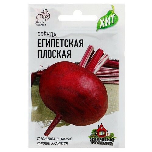 ���������� ������ ������ 