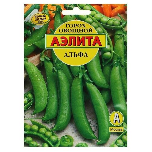 ���������� ������ ������ ����� 