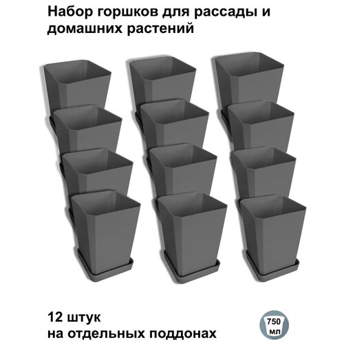 ���������� ������ ��� ������� � ������, 12 ���� �� ��������� ��������, ��������