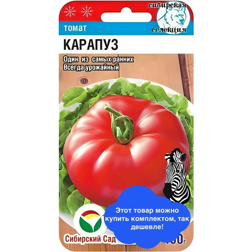 ���������� ������ ������ ��������� ��� 