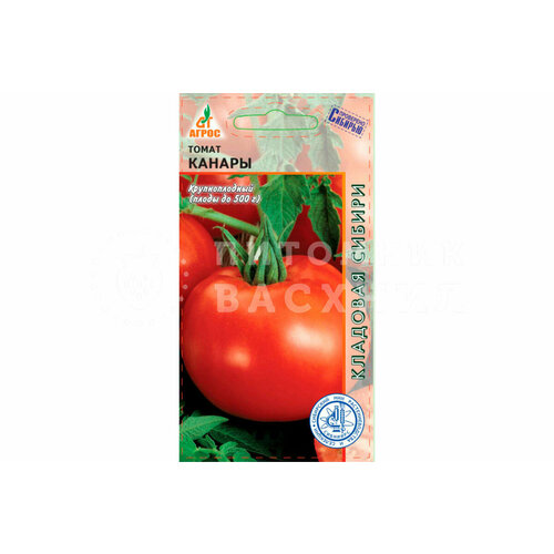 ���������� ������ ����� ������ 0,08� ����� (�����)