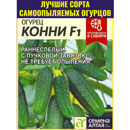 ���������� ������ ������������� ������� �������� ����� F1 - 5 ��. ������ ��������� ������ ��� ������