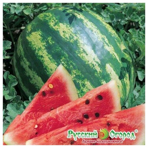 ���������� ������. ����� 