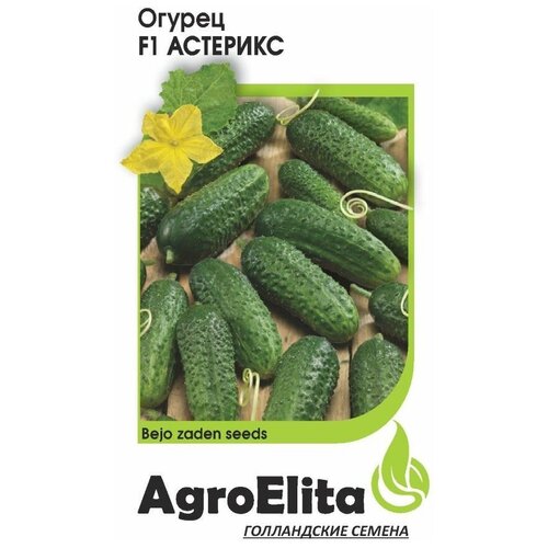 ���������� ������ ��������� 