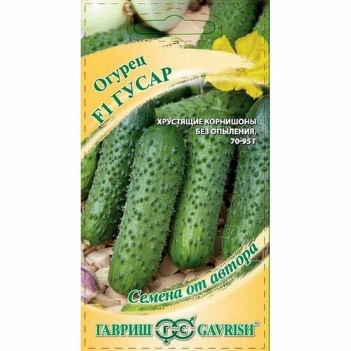 ���������� ������ ������ ����� F1 ����, �����������, (������) 10�� �20