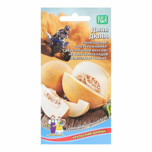 ���������� ������ ���� ���� 10�� ������ (��������� ������)