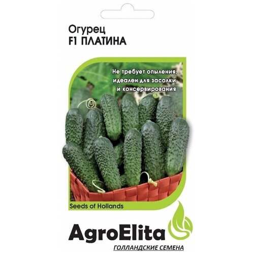 ���������� ������ ��������� 