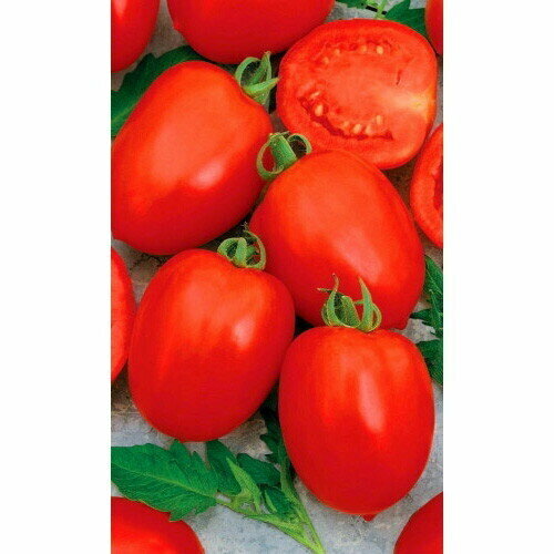 ���������� ������ ����� �������� (��) �/�