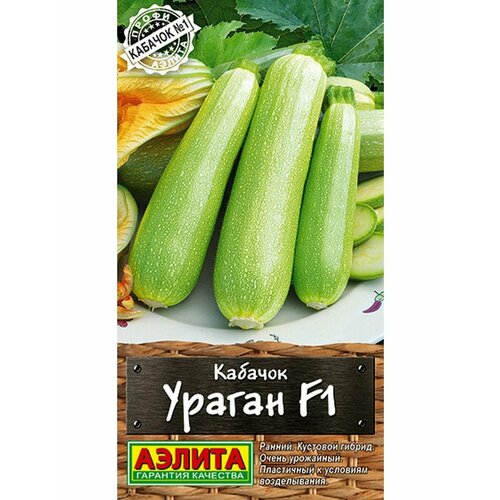 ���������� ������ ������� ������ F1 5�� ������ (������)