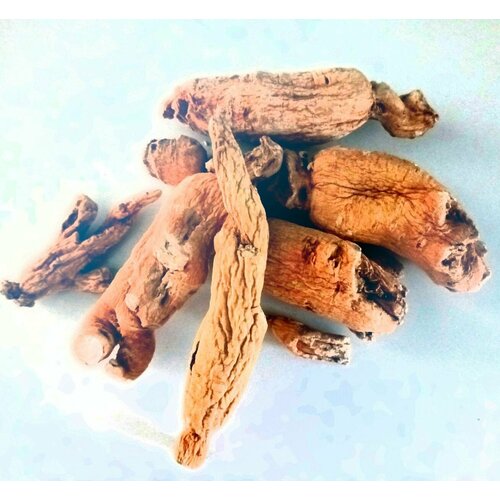 ���������� �������� ������ �����, 75�� ������������ ��������