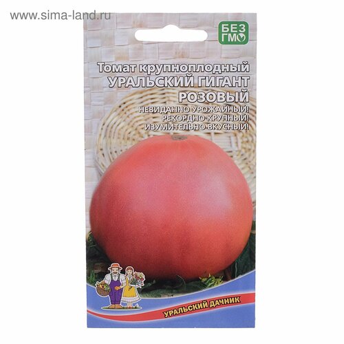 ���������� ������ ����� ��������� ������ ������� 20�� ����� (��������� ������)