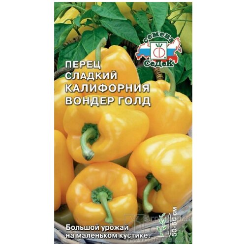 ���������� ������ ����� ���������� ������ ����