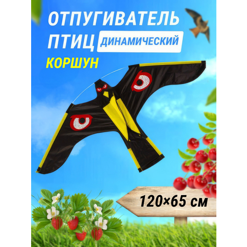 ���������� ������������ ���� ����������/ ��������� ���� ������ ��� ���� ������� ������� ������� ������ �������� ������� �� ���������� ������ ������� ��������