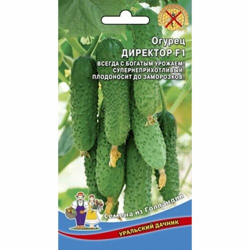 ���������� ������ ������ �������� F1 (������������������) (��������� ������) 6��