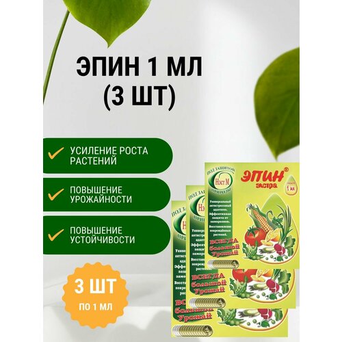 ���������� ���� ������ 1 �� (3 ��)