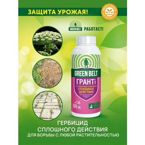 ���������� �������� �� �������� ��������� �������� GREEN BELT 