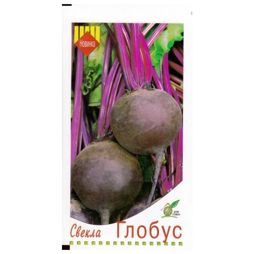 ���������� ������ ������, 100 �����