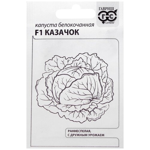 ���������� ������ ������� ������������ 