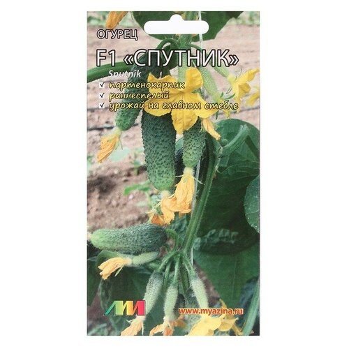 ���������� ������ 