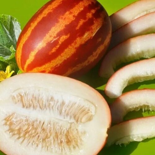 ���������� ������ ������ ���� ����������� 10 ��.