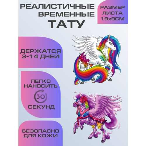 ���������� ���� ���������� ��������������, ��������� ����