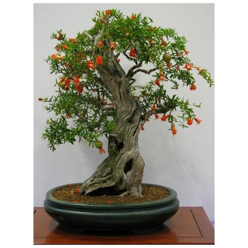 ���������� ���������� ������, ������ ������