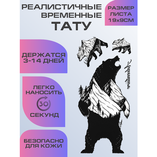 ���������� ���� ���������� ��������������, ��������� ���� �������