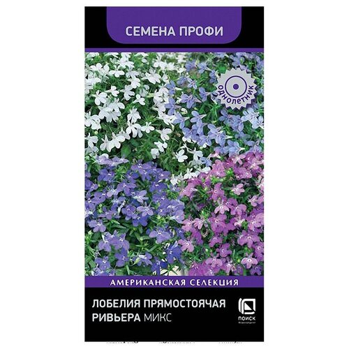 ���������� ������ ������� ������������ ����� ������� ����, 10 ��, 1�