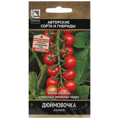 ���������� ������ ����� ����� ���������� 12 ��