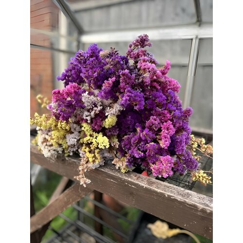 ���������� �������� ������� 70+ ����� ����� ����� ������� Pastel mix ������ ��������