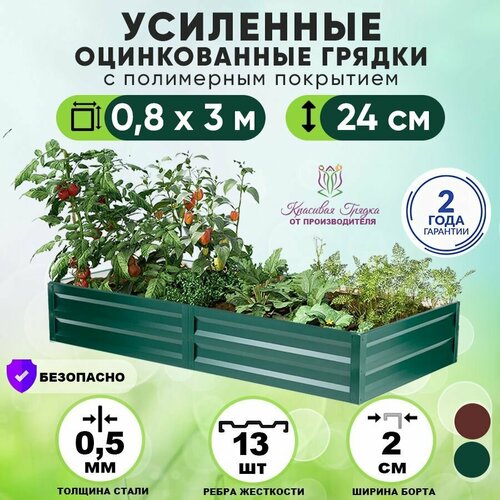 ���������� ������ ������������ �� ���� ��������� 3�0,8 ����� / ���������� ������������� ��� ������ ���� ������ � ������� ������� / ������ ��� ���� � ������� ������ ����� 24 ��