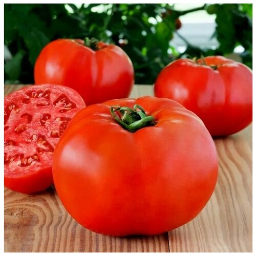 ���������� ����� ������ F1, �������������, �������������, ���������� � �������� ���� �� ���������, 10 �����