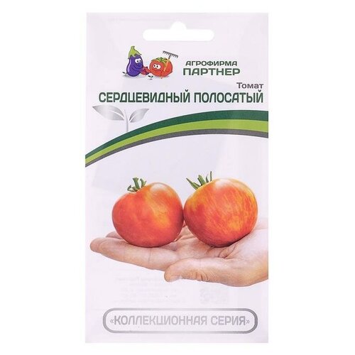 ���������� ������ ����� 