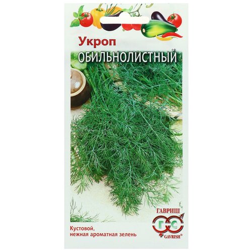 ���������� ������ ����� 