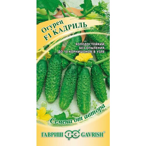 ���������� ������ ������ ������� F1, 10��, ������, ������ �� ������