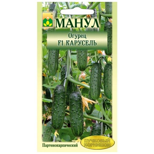 ���������� ������ ����� 