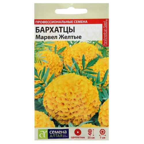 ���������� ������ ������ ����� �������� ������ ������ 5 ��.