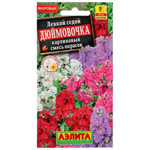 ���������� ������ ������ ������ ���������� 