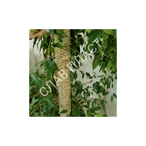 ���������� ����� ��� �����-����� ��� �������� 10�10 (1�0,4) �����