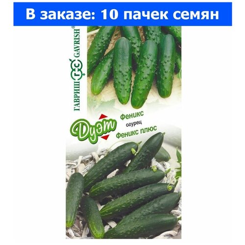 ���������� ������. ������ �������������� 