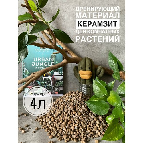���������� �������� ��� �������� 4 �����, ������ ��� ������ Terracotta Plant, ��� ��������� ��������, ������� 4-10��