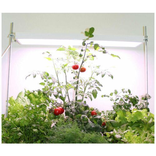 ���������� �������������� ��������� ������� �-30 (������������, ����� ����)