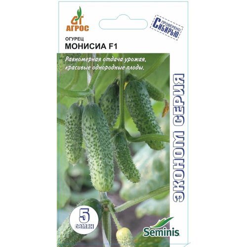 ���������� ������ ������ ������� F1 8�� ������������������ ������ (�����)